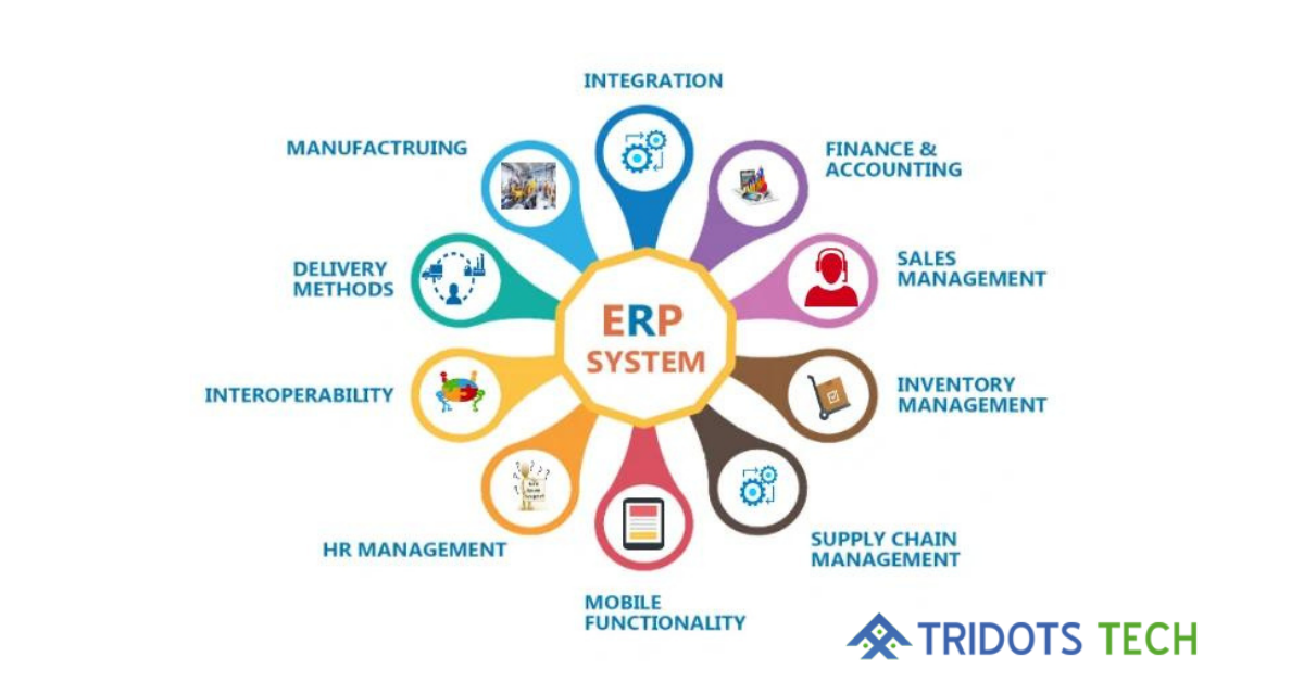 Build a Customized ERP Software Solution - Cover Image